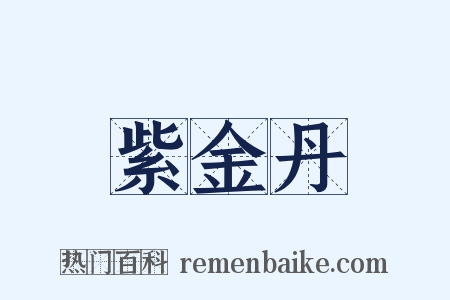 紫金丹是什么意思的图片